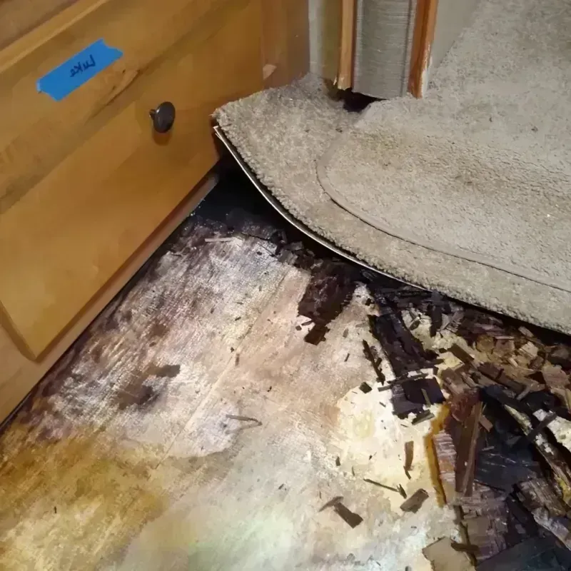 Best Wood Floor Water Damage Service in Sebastian, FL